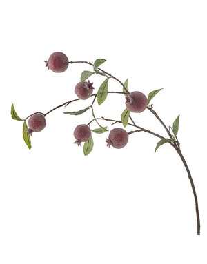 Iced Pomegranate Spray, 35 in.