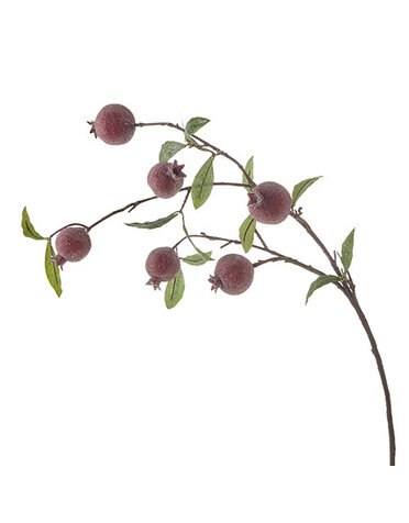 Iced Pomegranate Spray, 35 in.