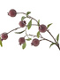 Iced Pomegranate Spray, 35 in.