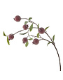 Iced Pomegranate Spray, 35 in.