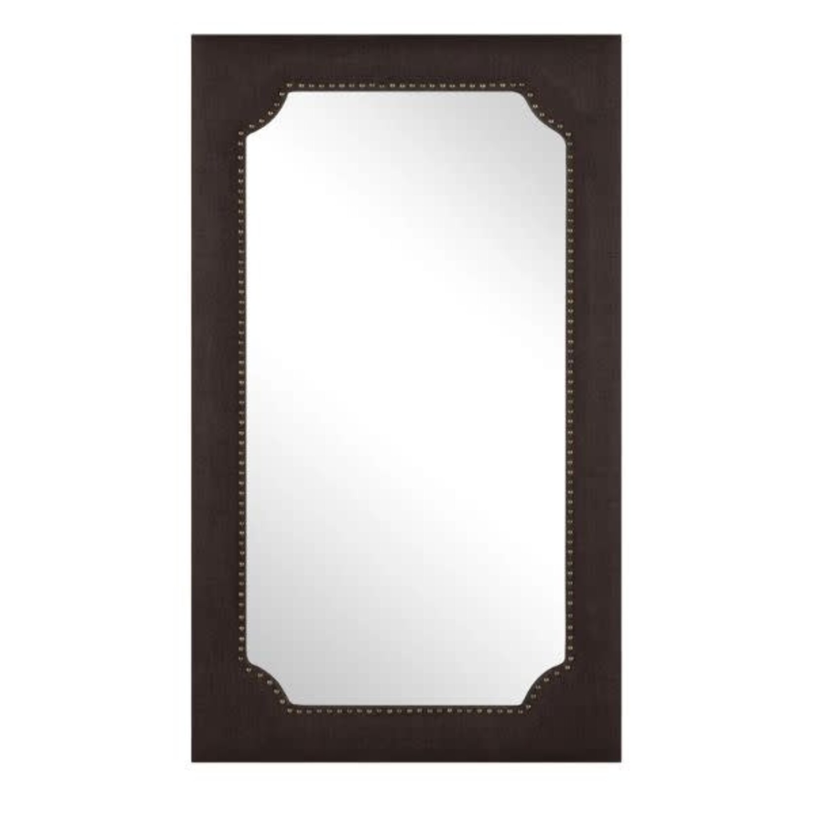 Jameson Rectangular Wall Mirror, 32 X 1.5 X 54