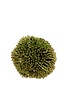 Green Berry Ball, 2 in.