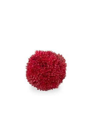 Red Berry Ball, 2 in.