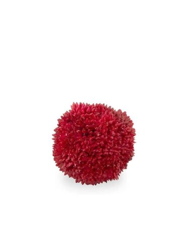 Red Berry Ball, 2 in.