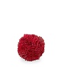 Red Berry Ball, 2 in.