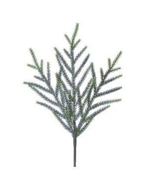 Will's Company Norfolk Pine Pick, Sage, 16 in.