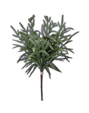 Will's Company Norfolk Pine Bundle, Sage, 17 in.