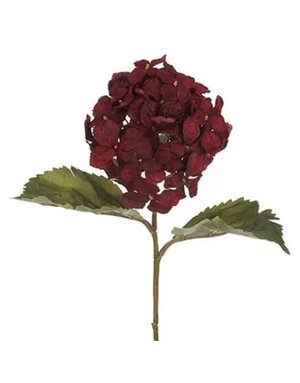 Will's Company Hydrangea Flower Stem , Burgundy, 24 in.