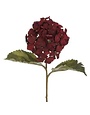 Will's Company Hydrangea Flower Stem , Burgundy, 24 in.