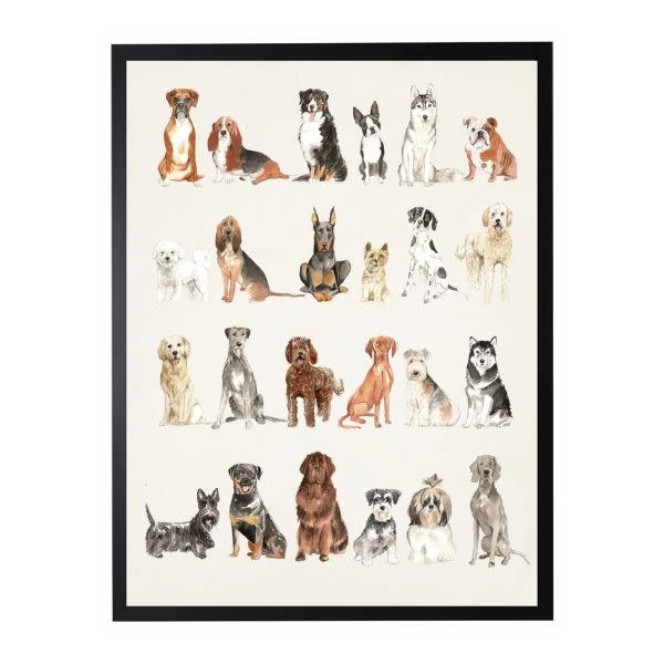 Antique Curiosities Inc Dog Breed Watercolor, Black with Bead Frame, 12 X 16, Artwork Available for Local Delivery or Pick Up