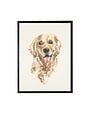 Antique Curiosities Inc Watercolor Golden Retriever, 10 X 8 in.