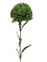 Dianthus Ball Stem, Deep Green, 21.5 in.