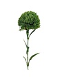 Dianthus Ball Stem, Deep Green, 21.5 in.