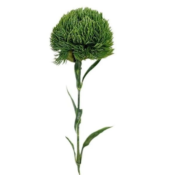 Dianthus Ball Stem, Deep Green, 21.5 in.