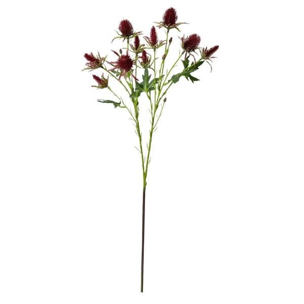 Thistle Eryngium Sea Holly Bundle, Wine Burgandy, 26 in.