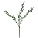 Olive Branch Leaf Spray, Frosty Green, 34 in.