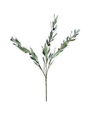 Olive Branch Leaf Spray, Frosty Green, 34 in.