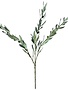 Olive Branch Leaf Spray, Frosty Green, 34 in.