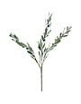 Olive Branch Leaf Spray, Frosty Green, 34 in.