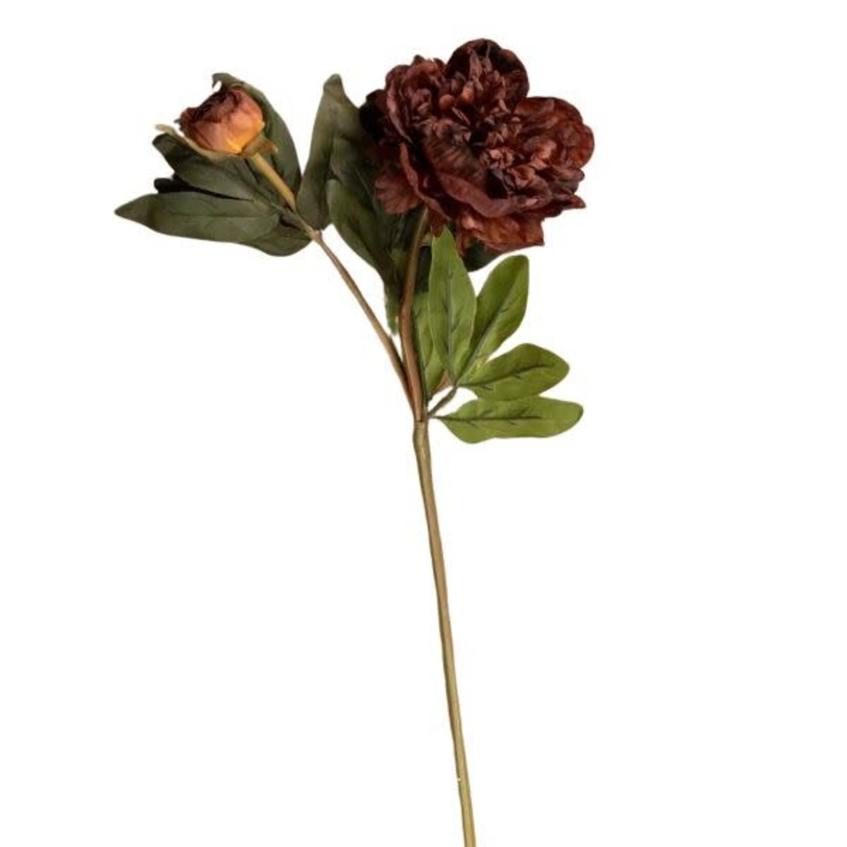 Ragon House Peony Spray, Burgundy, 19 in.