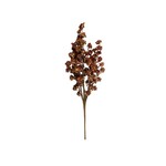 Ragon House Mini Daisy Bush, Maroon, 22 in.