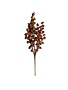 Ragon House Mini Daisy Bush, Maroon, 22 in.