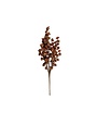 Ragon House Mini Daisy Bush, Maroon, 22 in.