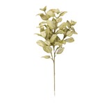 Ragon House Perilla Spray, Green, 24 in.