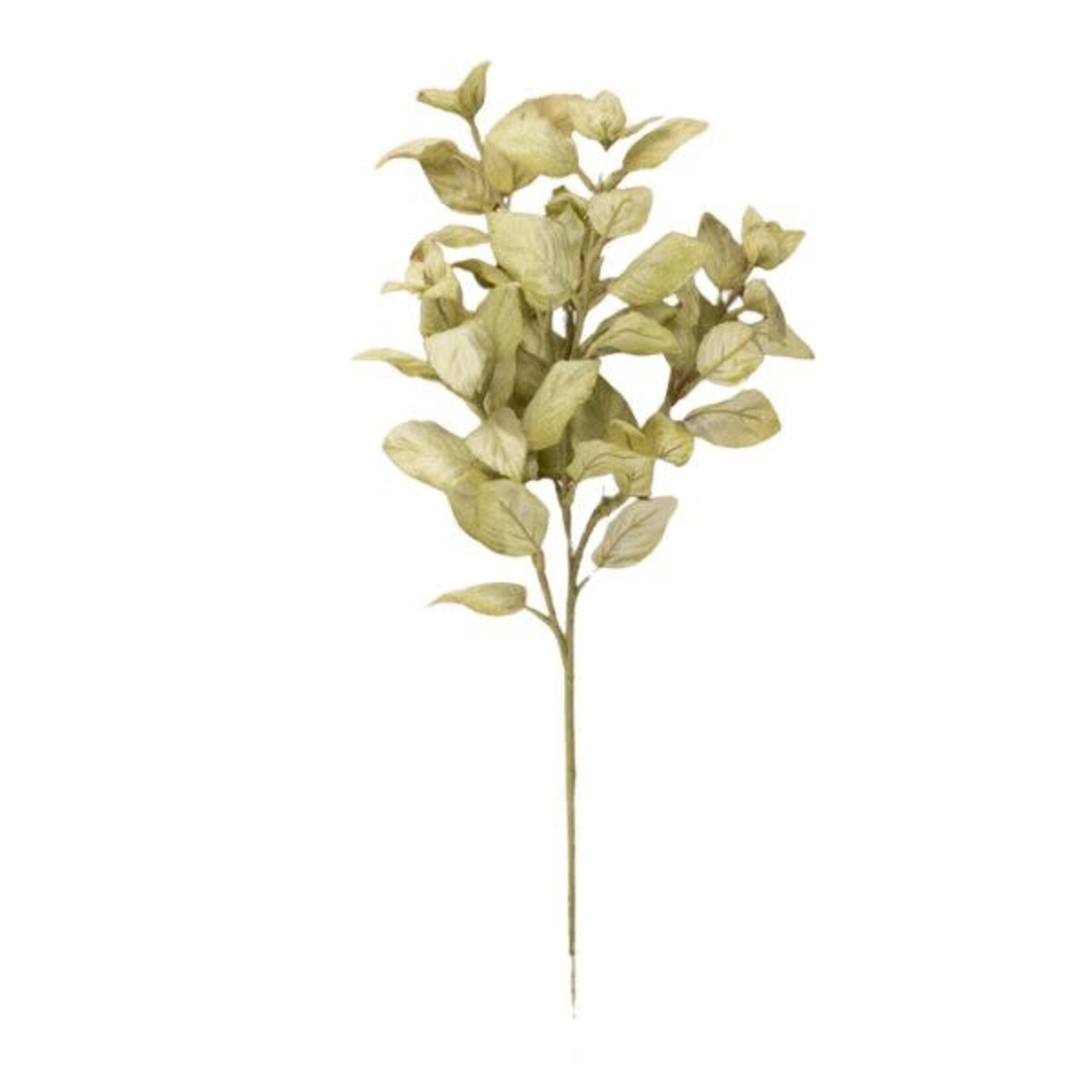 Ragon House Perilla Spray, Green, 24 in.