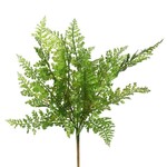 Fern Stem, 18 in.  Green