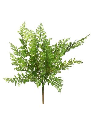 Fern Stem, 18 in.  Green, Priced Individually