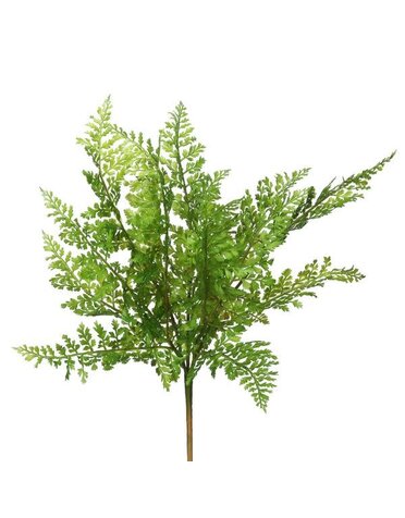 Fern Stem, 18 in.  Green