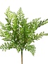 Fern Stem, 18 in.  Green, Priced Individually
