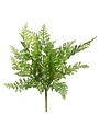 Fern Stem, 18 in.  Green, Priced Individually