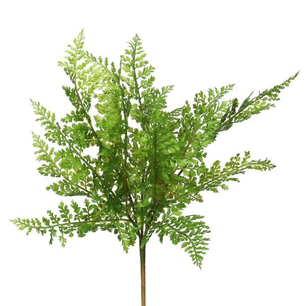 Fern Stem, 18 in.  Green, Priced Individually