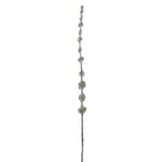 Green Pom Pom Spray, 29.5 in.