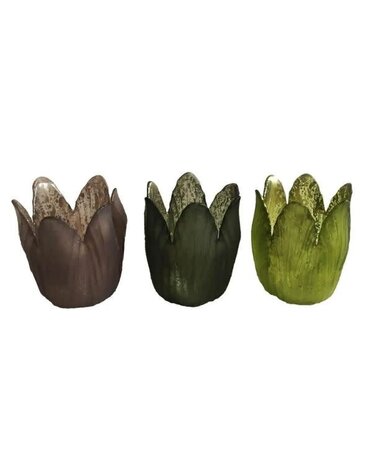 Tulip Votives, Assorted Colors, 2.8 in.