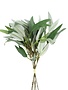 Seeded Willow Leaf Spray Bundle, Grey Green, 17 in.