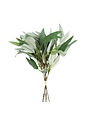 Seeded Willow Leaf Spray Bundle, Grey Green, 17 in.