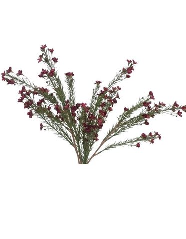 Ragon House Waxflower Spray, Burgundy, 29 in.