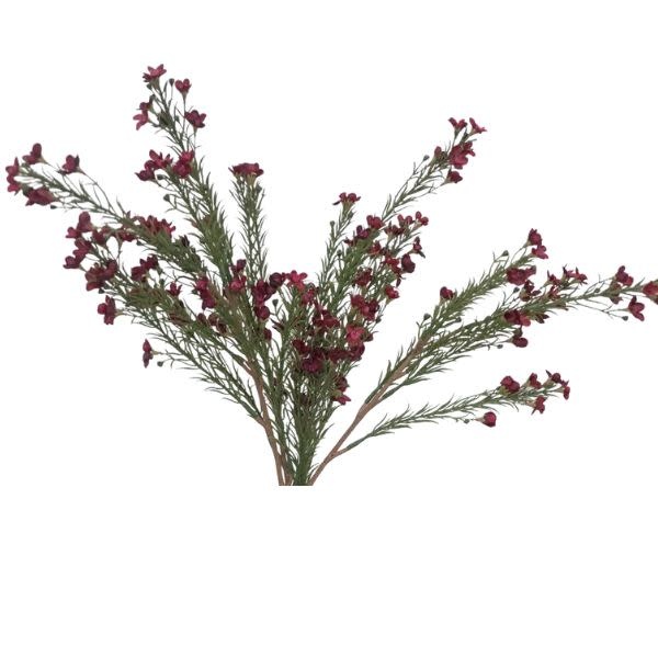 Ragon House Waxflower Spray, Burgundy, 29 in.