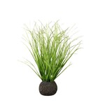 Ragon House Wild Onion Grass Bulb, 10 in.