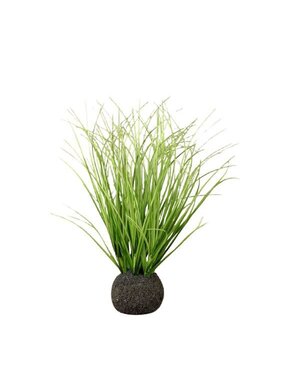 Ragon House Wild Onion Grass Bulb, 10 in.