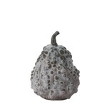 Bounty Gourd, Small, 5 in.