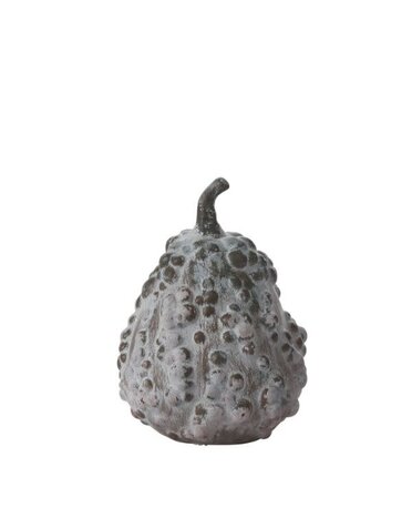 Bounty Gourd, Small, 5 in.