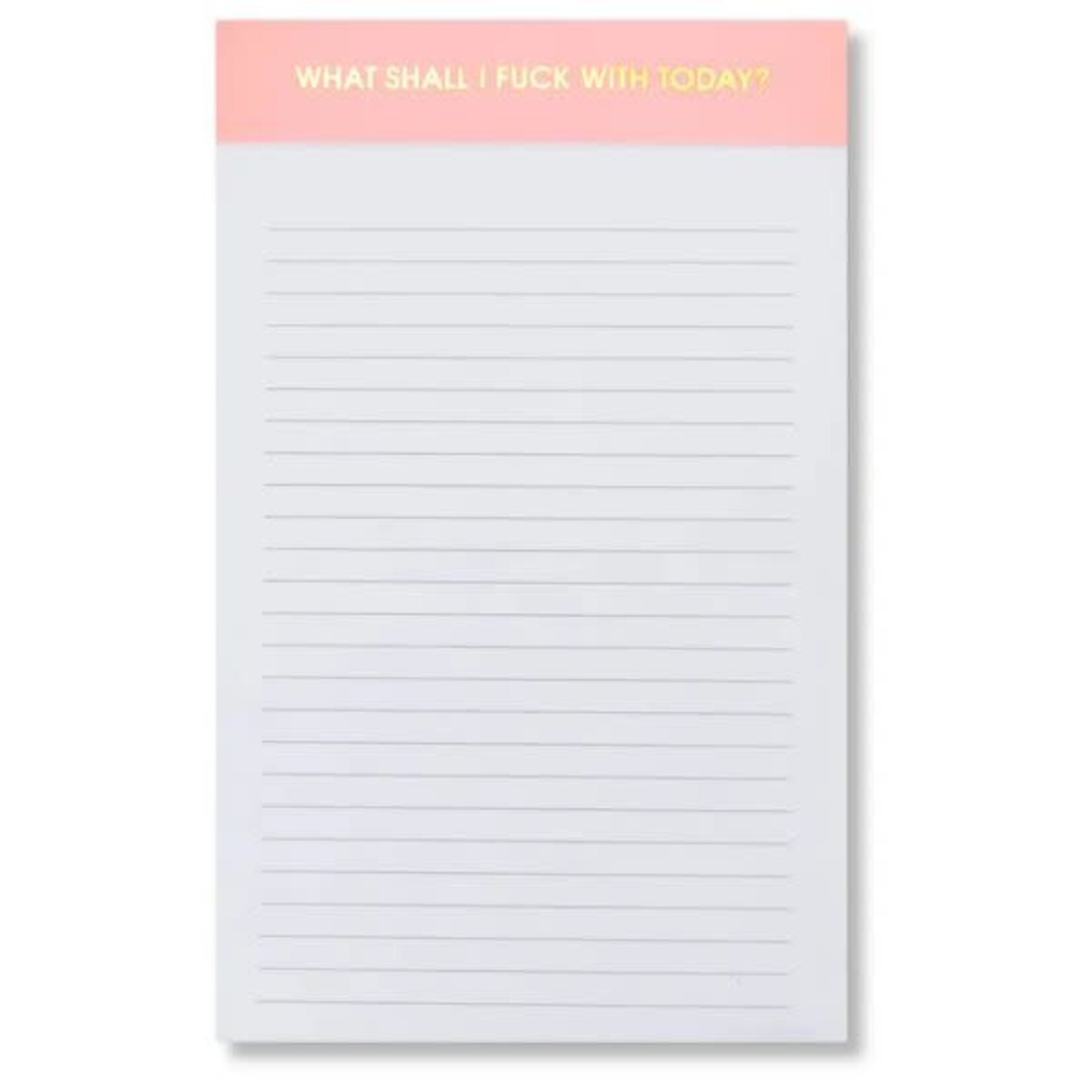 Chez Gagne Lined Notepad, Pink, 5 X 8, What Shall I F*ck with Today?