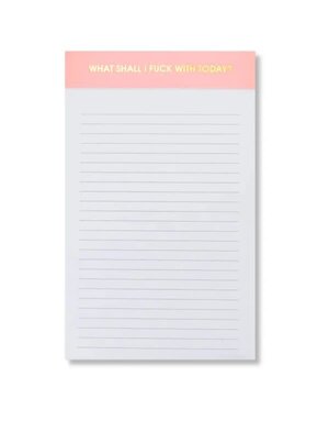 Chez Gagne Lined Notepad, Pink, 5 X 8, What Shall I F*ck with Today?