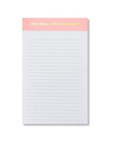 Chez Gagne Lined Notepad, Pink, 5 X 8, What Shall I F*ck with Today?