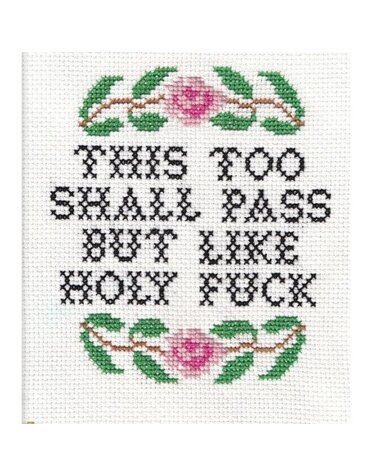 Subversive Cross Stitch Deluxe Cross Stitch Kit, This Too Shall Pass