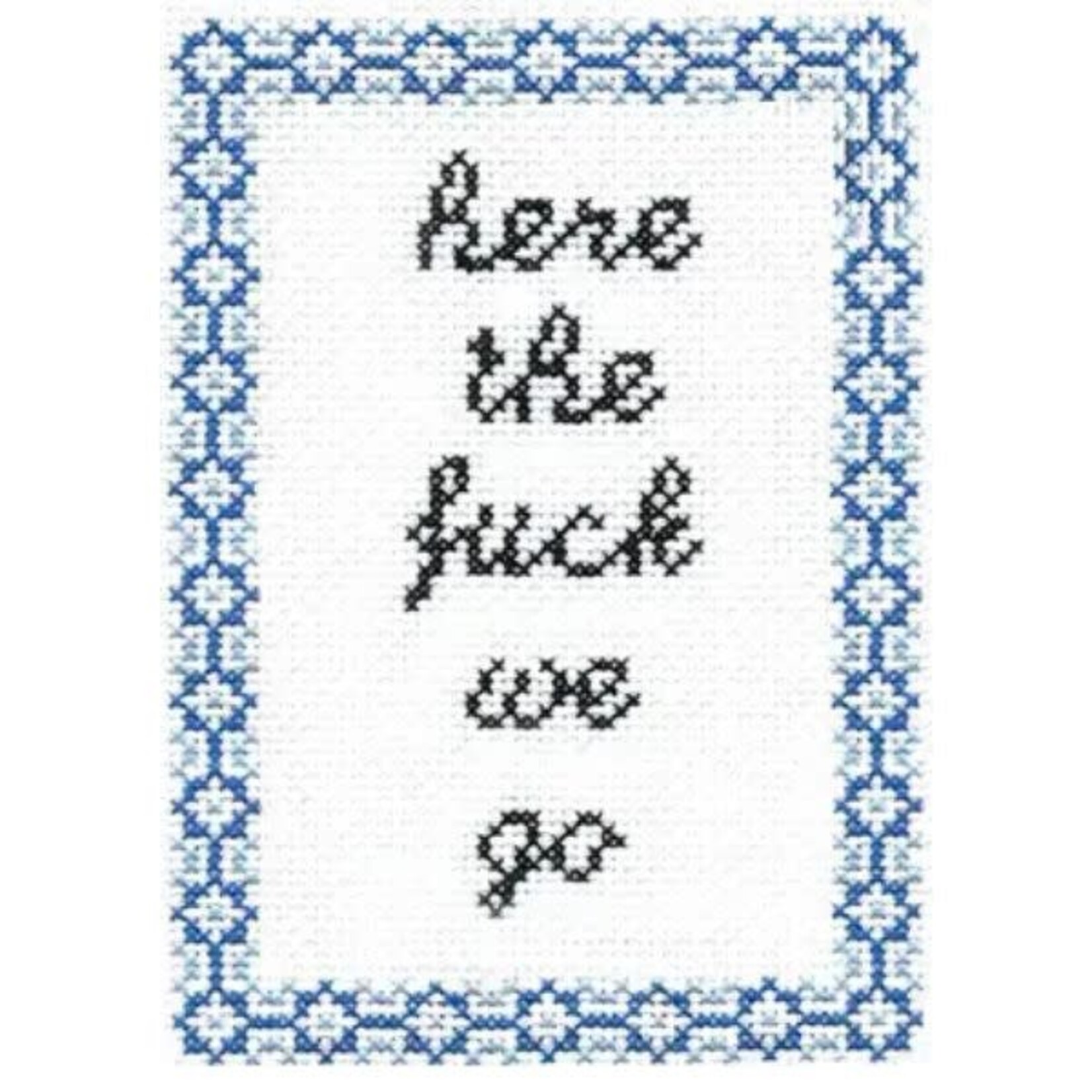 Subversive Cross Stitch Deluxe Cross Stitch Kit, Here the Fuck We Go